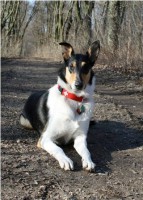 /album/fotogaleria-gecko-nirreterrit-aka-/aka-detail-jpg1/